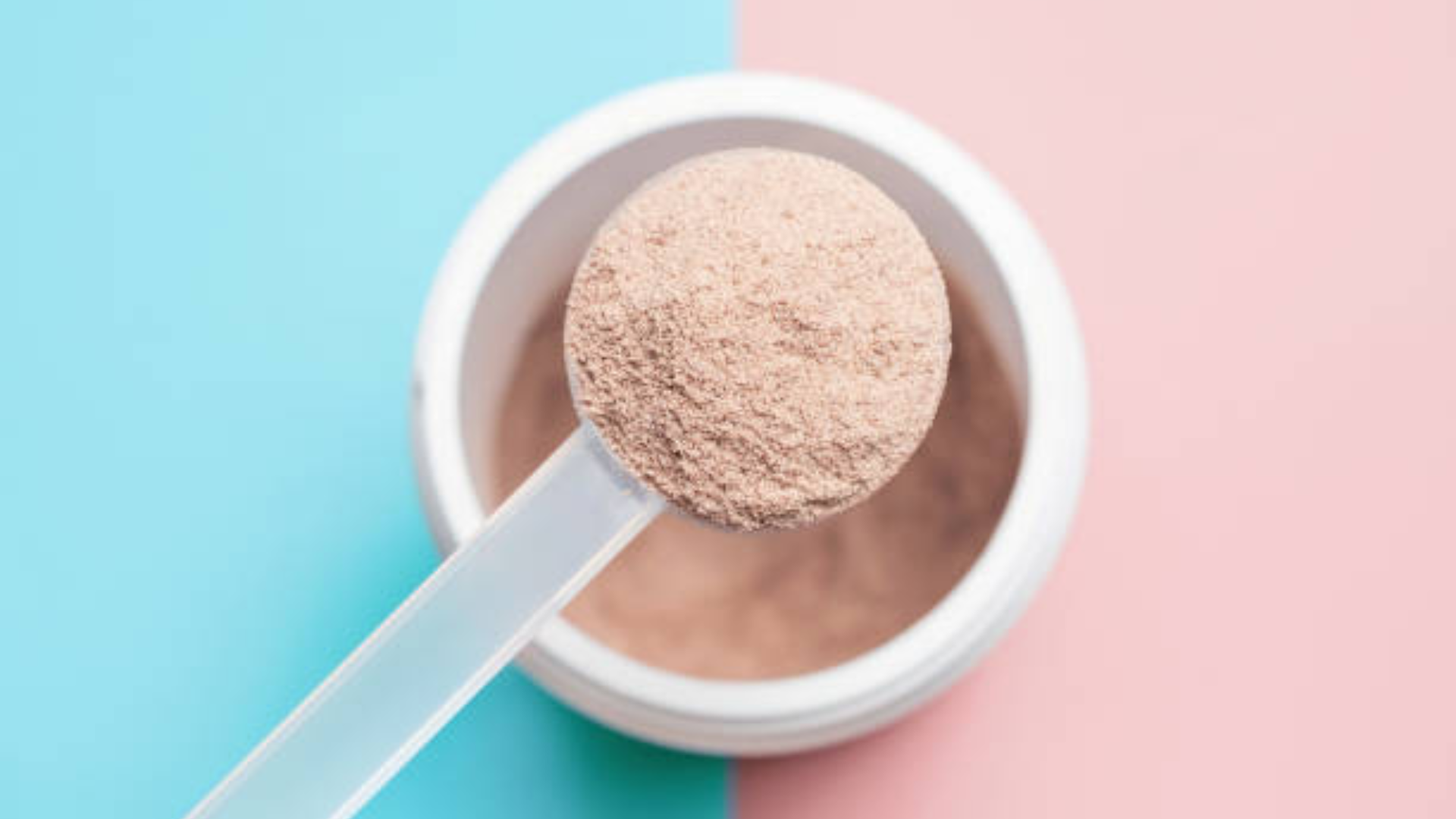 Best Protein Powder