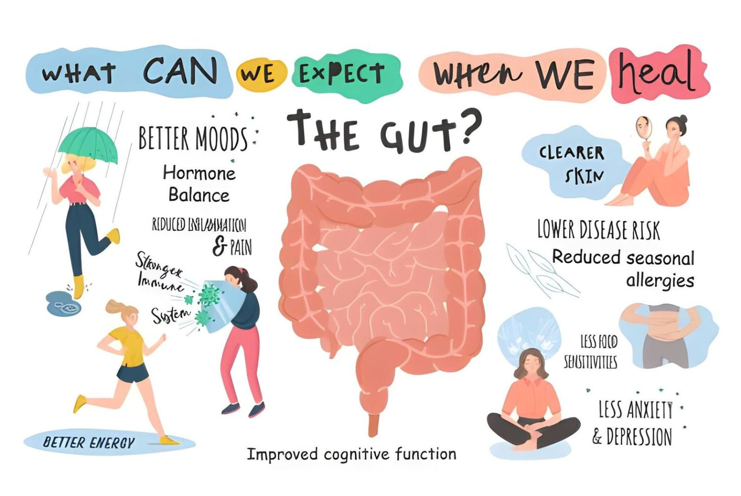 Gut Health and Overall Wellness: What's the Connection?