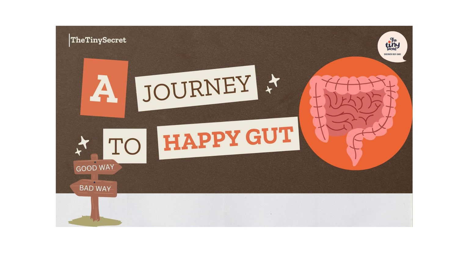 Gut health hack you cannot afford to miss !