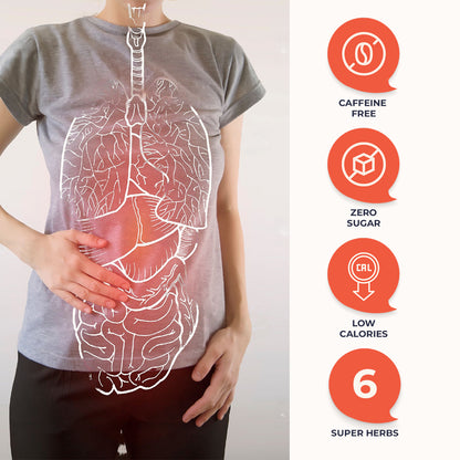Image of a lady showing digestive system with list of benefits of The Tiny Secret&